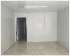  2025Ÿ��1159  �ٸ��ü����