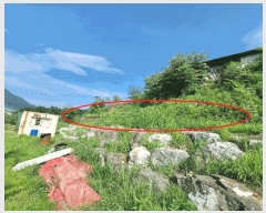  2025Ÿ��1241 ��� ���ֽ� �ȸ��� 393-3       ����(������)���