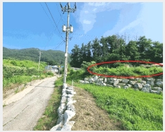  2025Ÿ��1241 ��� ���ֽ� �ȸ��� 393-3       ����(������)���