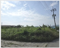  2025Ÿ��1241 ��� ���ֽ� �ȸ��� 393-3       ����(������)���