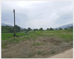  2025Ÿ��1340 ��� ������ ������ �ѹ��� 650      ����(��)���