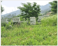  2025Ÿ��1340 ��� ������ ������ �ѹ��� 650      ����(��)���