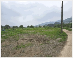  2025Ÿ��1340 ��� ������ ������ �ѹ��� 650      ����(��)���