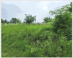  2025Ÿ��1340 ��� ������ ������ �ѹ��� 650      ����(��)���