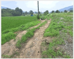  2025Ÿ��1340 ��� ������ ������ �ѹ��� 650      ����(��)���