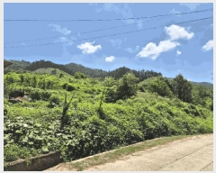  2025Ÿ��1517  ���������