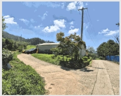  2025Ÿ��1517  ���������