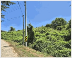  2025Ÿ��1517  ���������