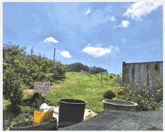  2025Ÿ��1517  ���������