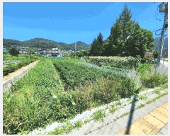  2025Ÿ��1647 ��� ���ֽ� ������ 299-20       ����(��1)���