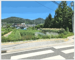  2025Ÿ��1647 ��� ���ֽ� ������ 299-20       ����(��1)���