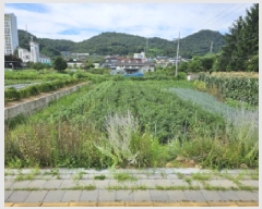  2025Ÿ��1647 ��� ���ֽ� ������ 299-20       ����(��1)���