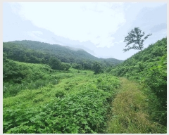  2025Ÿ��2046 ��� ���ֽ� �Ӽ��� ��̸� 201      ����(��)���