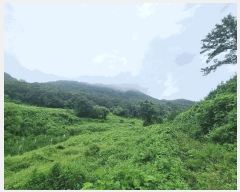  2025Ÿ��2046 ��� ���ֽ� �Ӽ��� ��̸� 201      ����(��)���