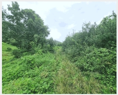  2025Ÿ��2046 ��� ���ֽ� �Ӽ��� ��̸� 201      ����(��)���