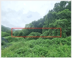  2025Ÿ��2046 ��� ���ֽ� �Ӽ��� ��̸� 201      ����(��)���