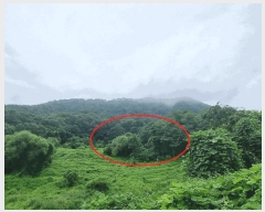  2025Ÿ��2046 ��� ���ֽ� �Ӽ��� ��̸� 201      ����(��)���