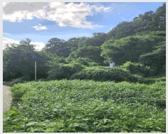  2025Ÿ��2145 ��� ���ֽ� ��̸� ��� 450-1      ���ð��