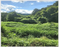  2025Ÿ��2145 ��� ���ֽ� ��̸� ��� 450-1      ���ð��