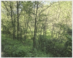  2025Ÿ��2268 ��� ������ ���̸� ������ 659      ����(��1)���