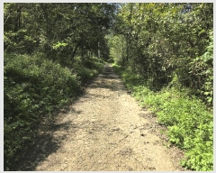  2025Ÿ��2268 ��� ������ ���̸� ������ 659      ����(��1)���