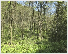  2025Ÿ��2268 ��� ������ ���̸� ������ 659      ����(��1)���