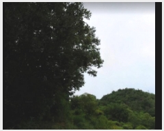  2025Ÿ��2268 ��� ������ ���̸� ������ 659      ����(��1)���