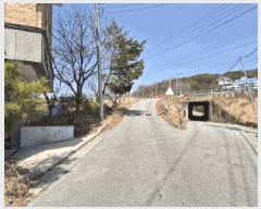  2025Ÿ��30391  �ٰ������ð��