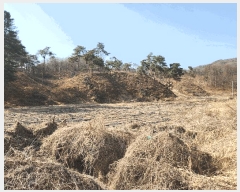  2025Ÿ��30399 ��� ���ֽ� �Ӽ��� ��õ�� 174-1      ����(��1)���