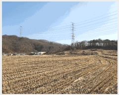  2025Ÿ��30399 ��� ���ֽ� �Ӽ��� ��õ�� 174-1      ����(��1)���