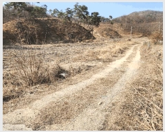  2025Ÿ��30399 ��� ���ֽ� �Ӽ��� ��õ�� 174-1      ����(��1)���