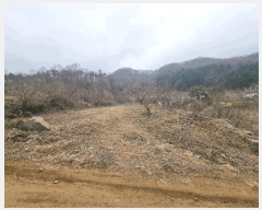  2025Ÿ30413  ֽ Ӽ õ 8-3      (Ӿ)