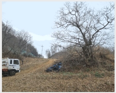  2025Ÿ30413  ֽ Ӽ õ 8-3      (Ӿ)