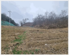  2025Ÿ30413  ֽ Ӽ õ 8-3      (Ӿ)