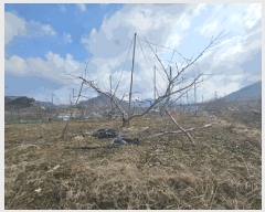  2025Ÿ��30420  ���ð��