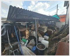  2025Ÿ��30420  ���ð��