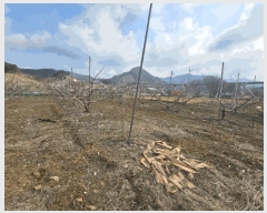  2025Ÿ��30420  ���ð��