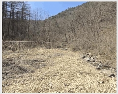  2025Ÿ��30425 ��� ���ֽ� ������ ���渮 340-1      ��õ���