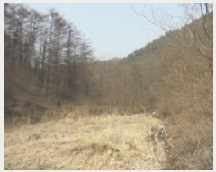  2025Ÿ��30425 ��� ���ֽ� ������ ���渮 340-1      ��õ���