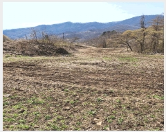  2025Ÿ��30443 ��� ���ֽ� ���¸� ������ 54      ����(��1)���