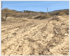  2025Ÿ��30443 ��� ���ֽ� ���¸� ������ 54      ����(��1)���