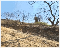  2025Ÿ��30443 ��� ���ֽ� ���¸� ������ 54      ����(��1)���