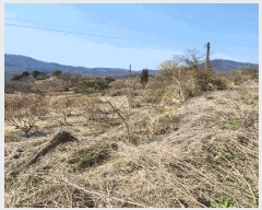  2025Ÿ��30443 ��� ���ֽ� ���¸� ������ 54      ����(��1)���