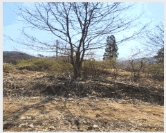  2025Ÿ��30443 ��� ���ֽ� ���¸� ������ 54      ����(��1)���