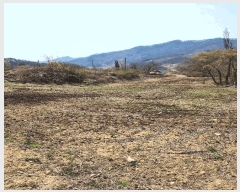  2025Ÿ��30443 ��� ���ֽ� ���¸� ������ 54      ����(��1)���