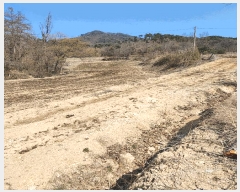  2025Ÿ��30443 ��� ���ֽ� ���¸� ������ 54      ����(��1)���