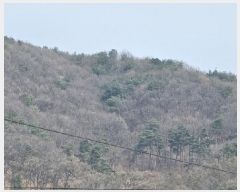  2025Ÿ��30453 ��� ���ֽ� �Ӽ��� ��õ�� ��39-12      ����(�Ӿ�)���