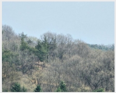  2025Ÿ��30453 ��� ���ֽ� �Ӽ��� ��õ�� ��39-12      ����(�Ӿ�)���