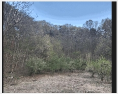  2025Ÿ��30453 ��� ���ֽ� �Ӽ��� ��õ�� ��39-12      ����(�Ӿ�)���