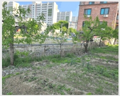  2025Ÿ��30489 ��� ���ֽ� ������ 619-26       �����ü����